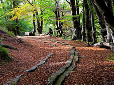 Walking and Cycling on Dartmoor